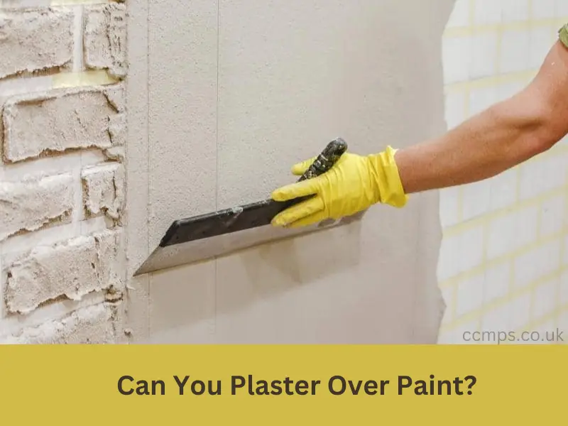 Can You Plaster Over Paint